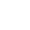 Inspektion Icon