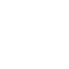 Mission Icon